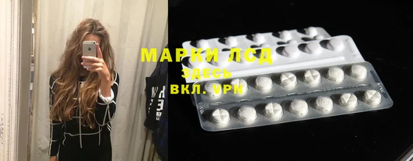 стаф Белокуриха