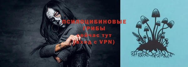 стаф Белокуриха