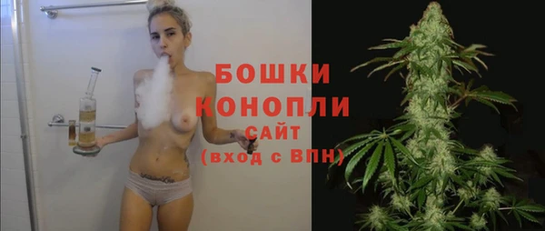 стаф Балахна