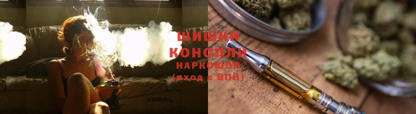 стаф Белокуриха