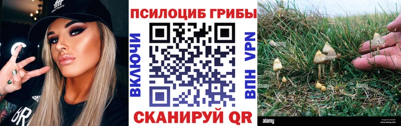 как найти наркотики Цивильск Псилоцибиновые грибы ЛСД
